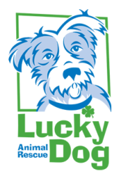 growth[period] CEO Runs Annual Bake Sale for the Lucky Dog Animal Rescue in Montgomery County