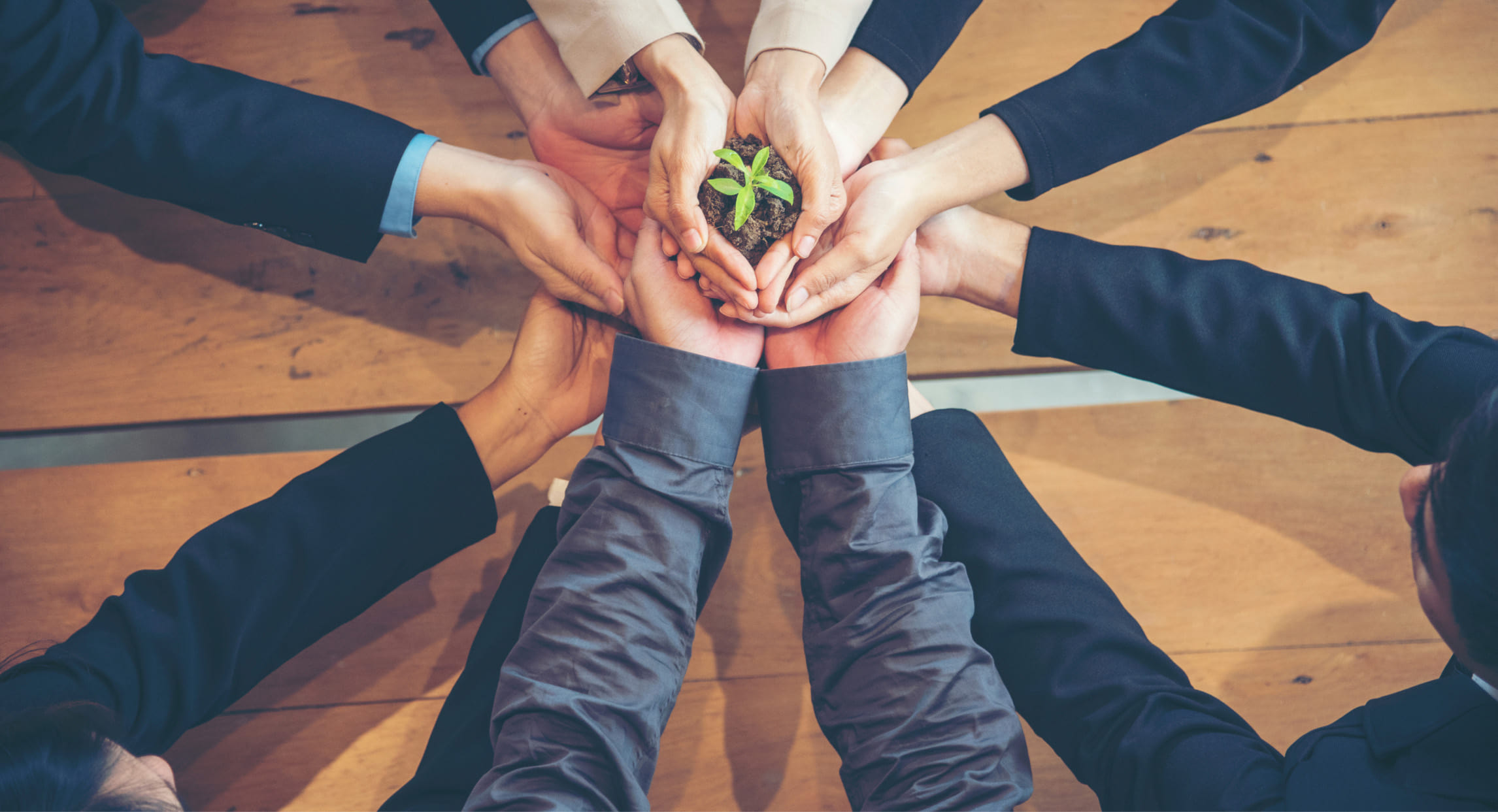 services-business@2x