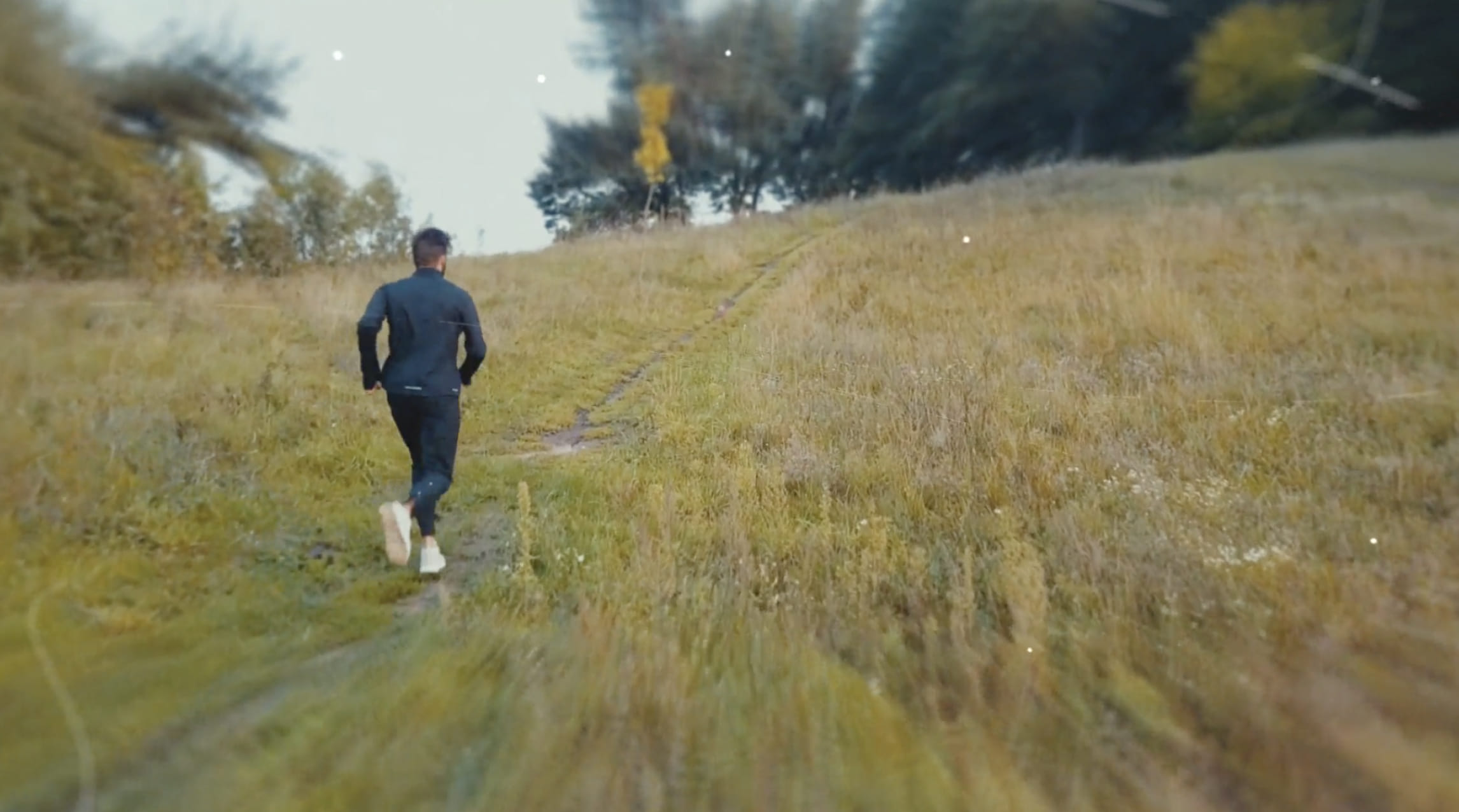 services-strategy@2x